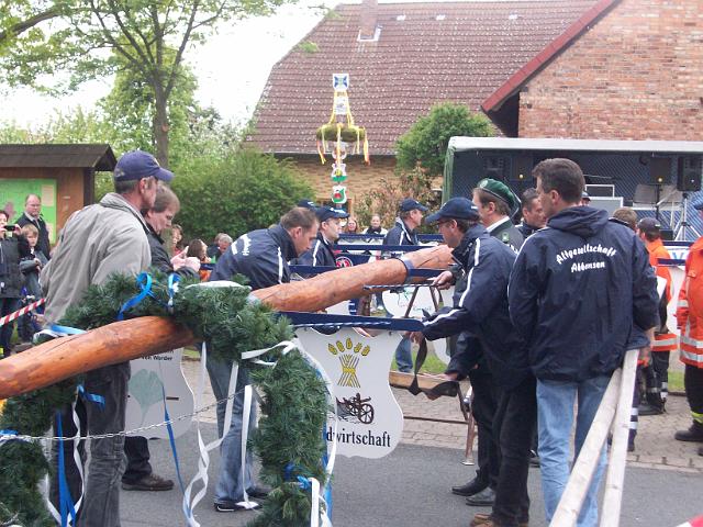 Maibaum 012.jpg